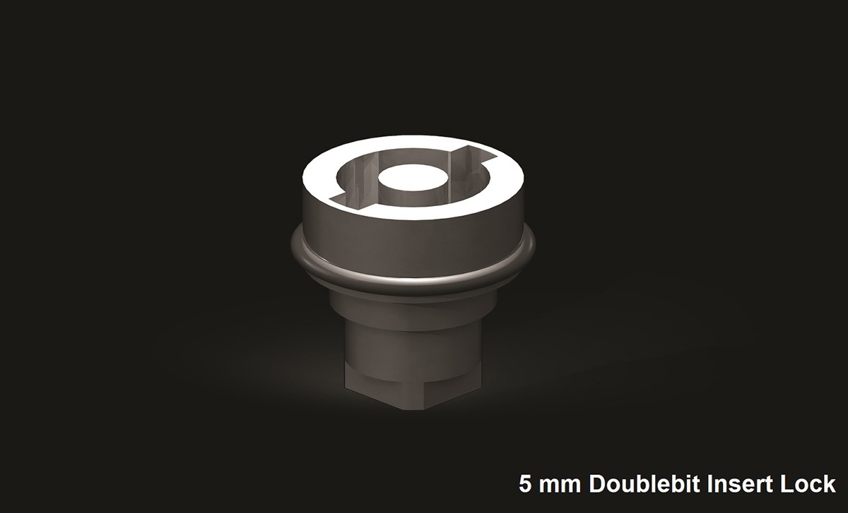 Inserts for Small Lock (AISI 316)